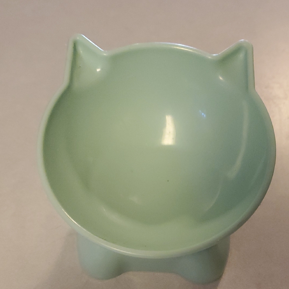 Mint Green Elevated Cat Food Bowl
